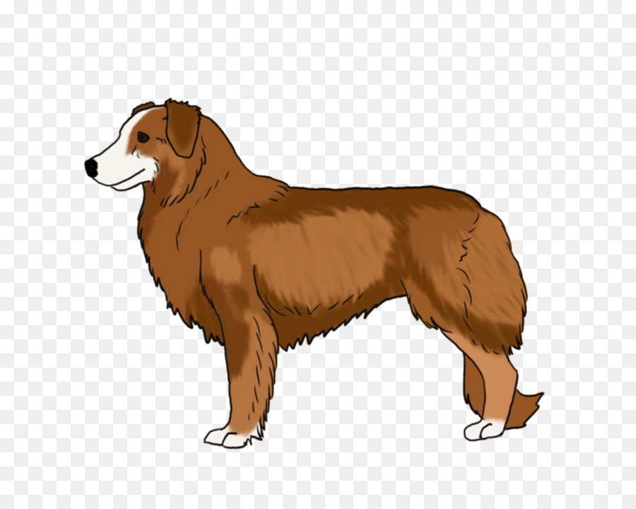 Raza De Perro，Perro PNG