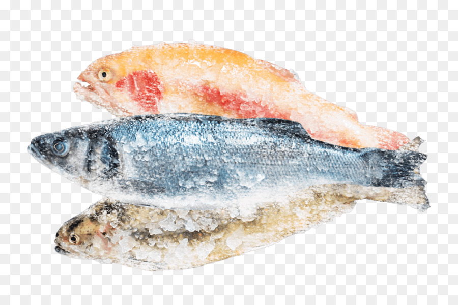 Sardina，Productos Para Pescado PNG