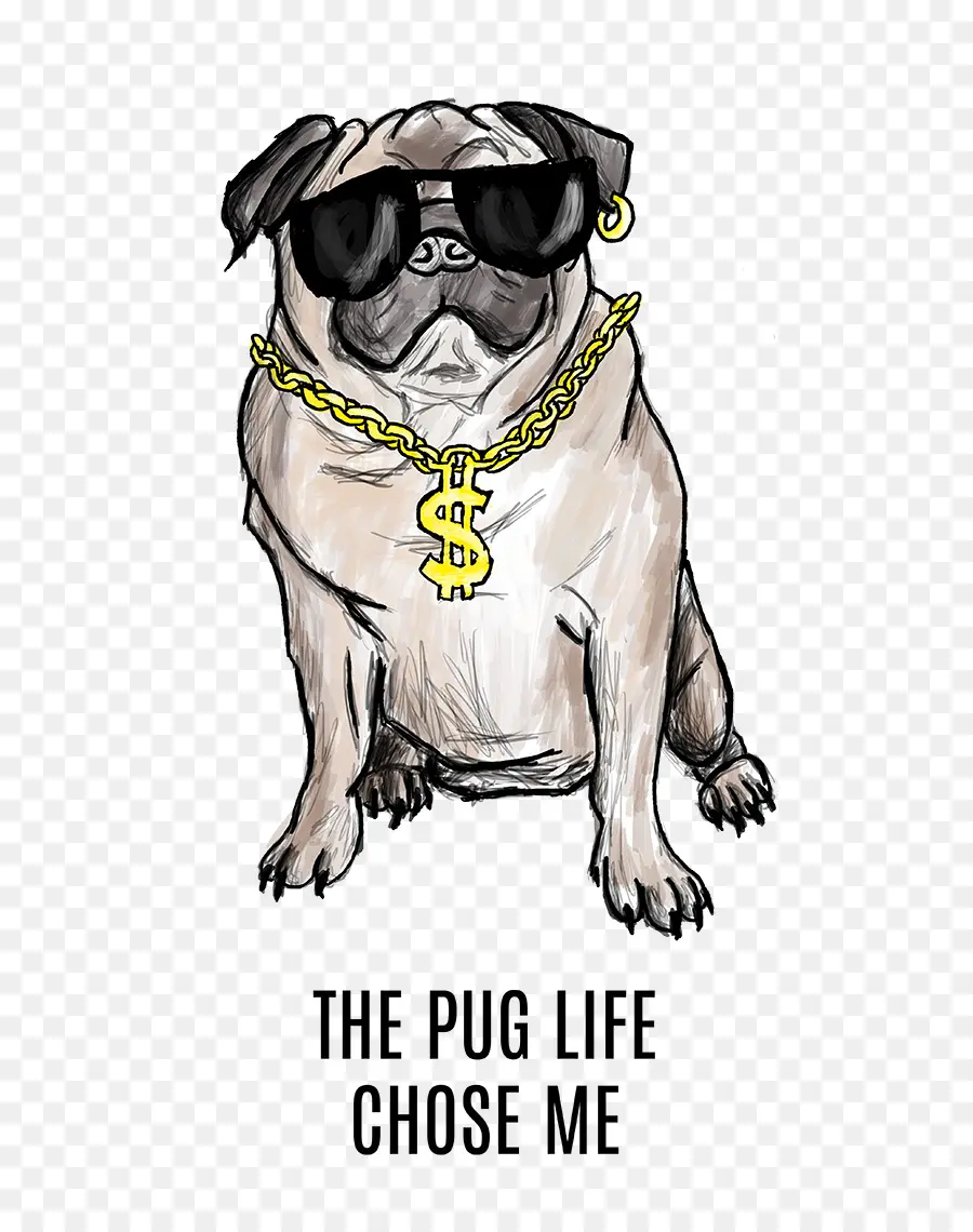 Pug，Todos Cappuccino PNG