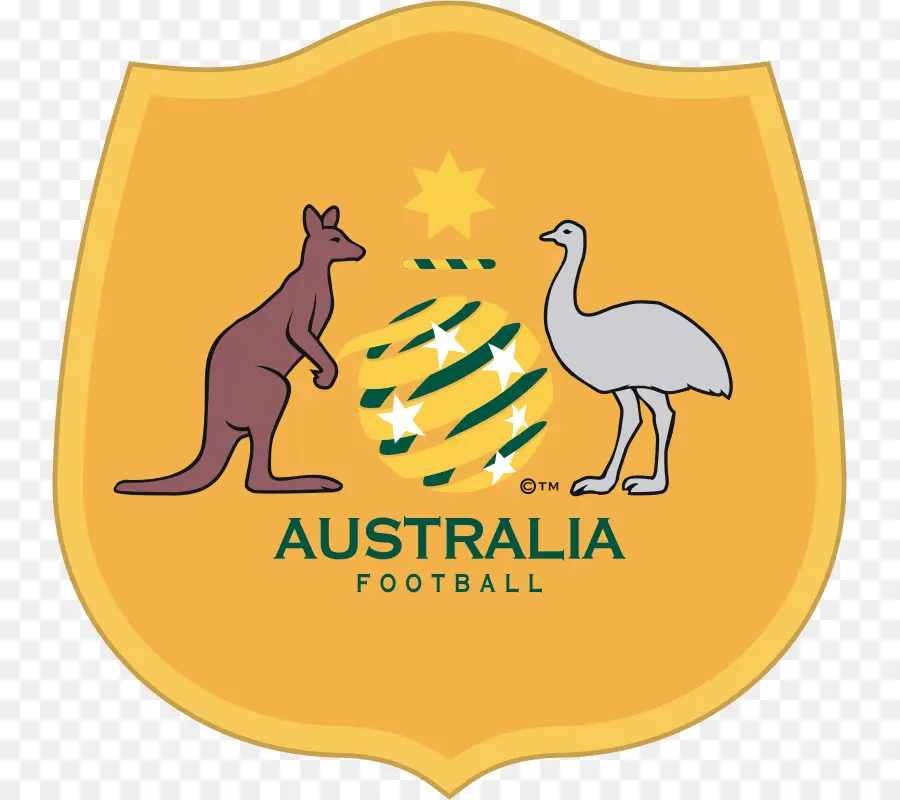 La Copa Del Mundo De 2018，Australia Equipo De Fútbol Nacional De PNG