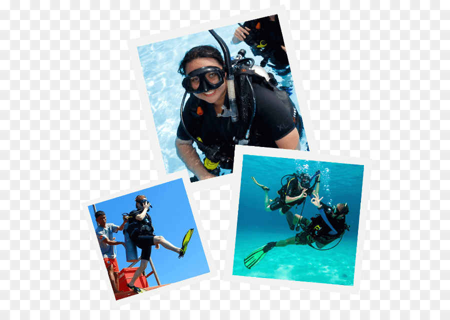 Pattaya Aventuras De Buceo En Tailandia，Pattaya Centro De Buceo Padi 5 Estrellas Idc PNG