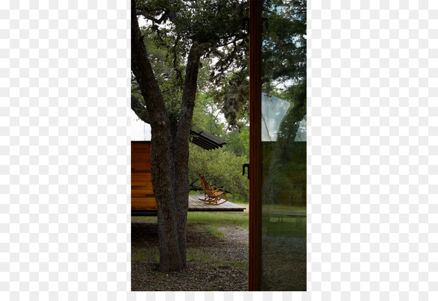 Árbol，Ventana PNG