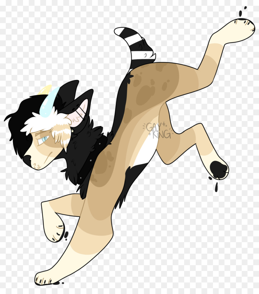 Gato，Perro PNG