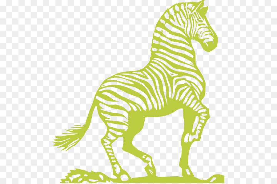 Cebra，Caballo PNG