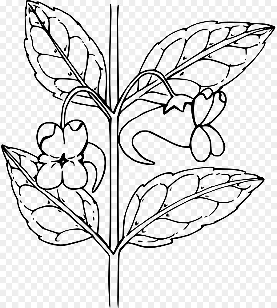 Brushfooted Mariposas，Diseño Floral PNG