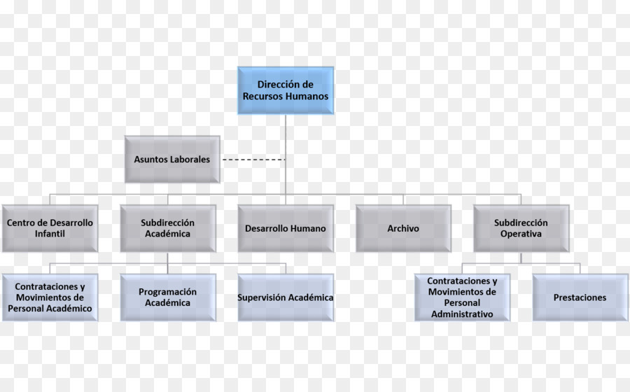 Diagrama De Flujo，Organización PNG