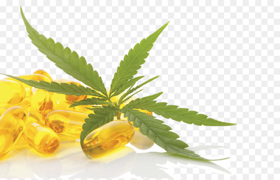 Cáñamo，Cannabidiol PNG