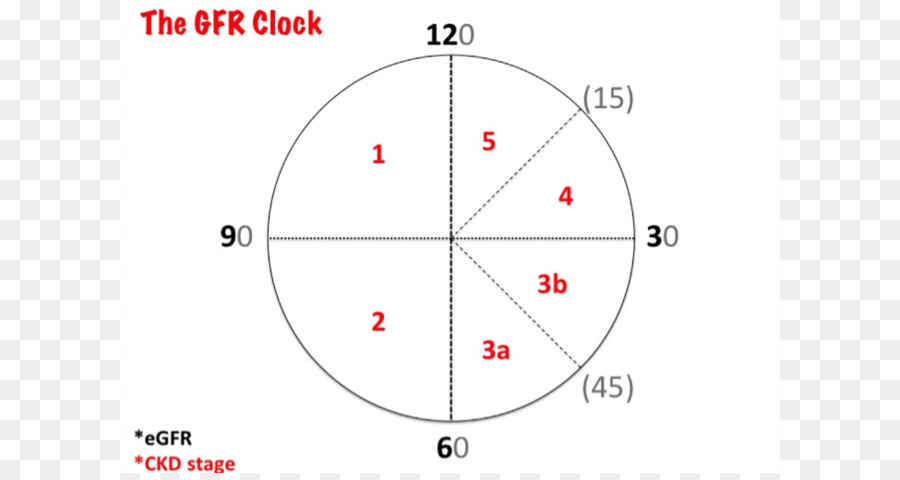 La Enfermedad Renal Crónica，La Enfermedad PNG