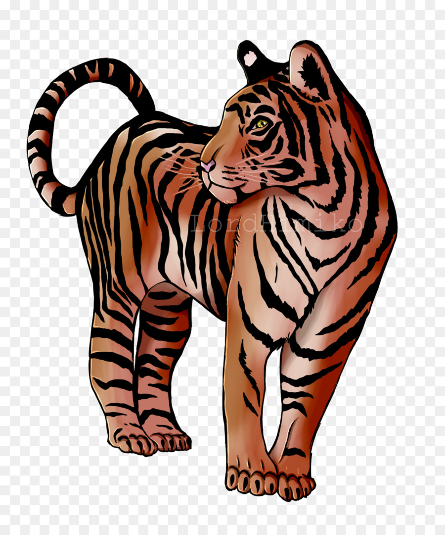 Tigre，Gato PNG