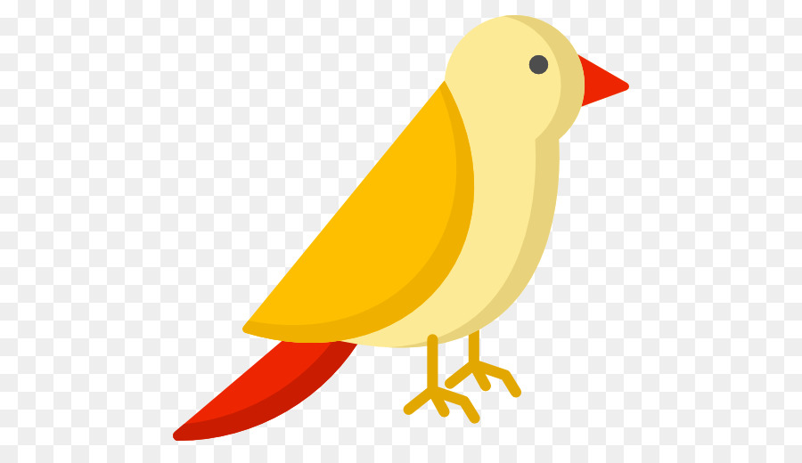 Pájaro，Pluma PNG