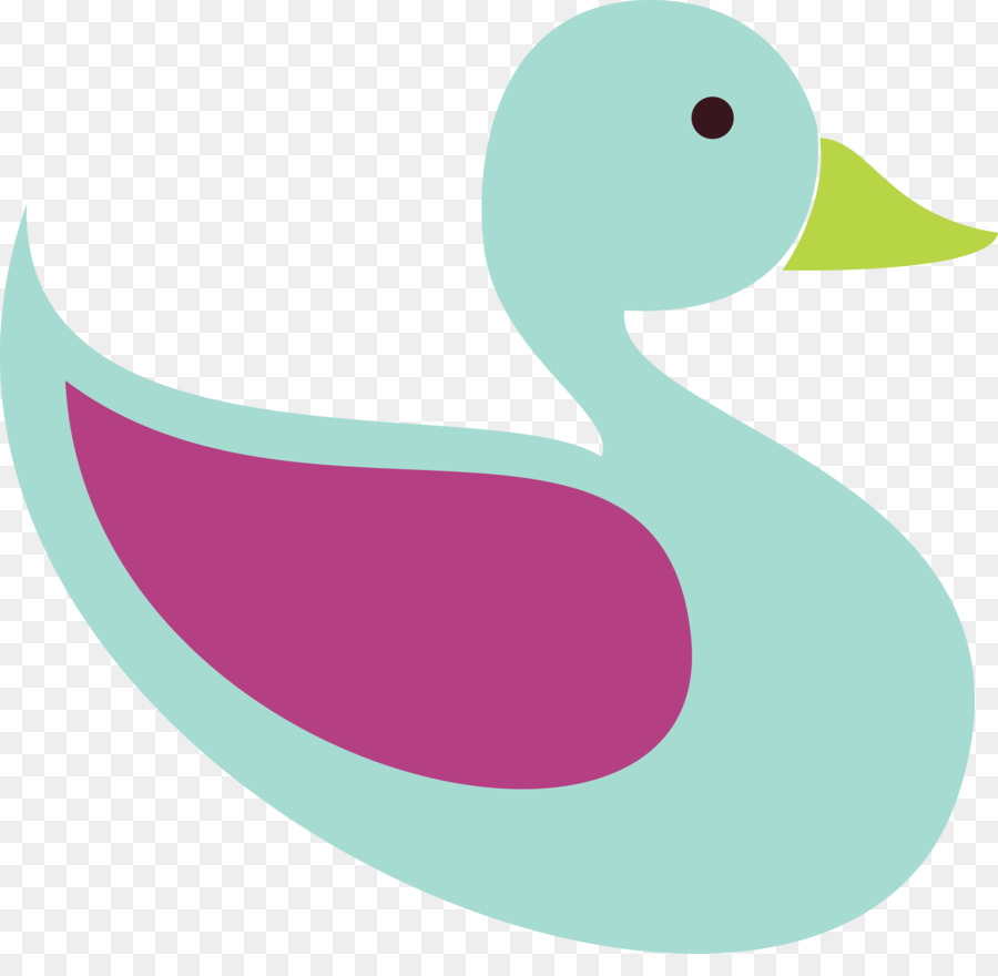 Pato，Aves PNG