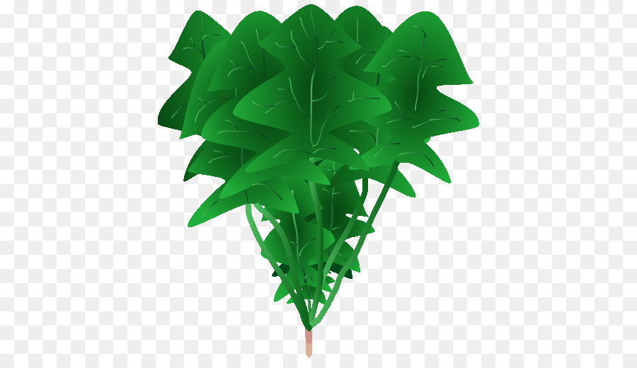 Hoja，Verde PNG