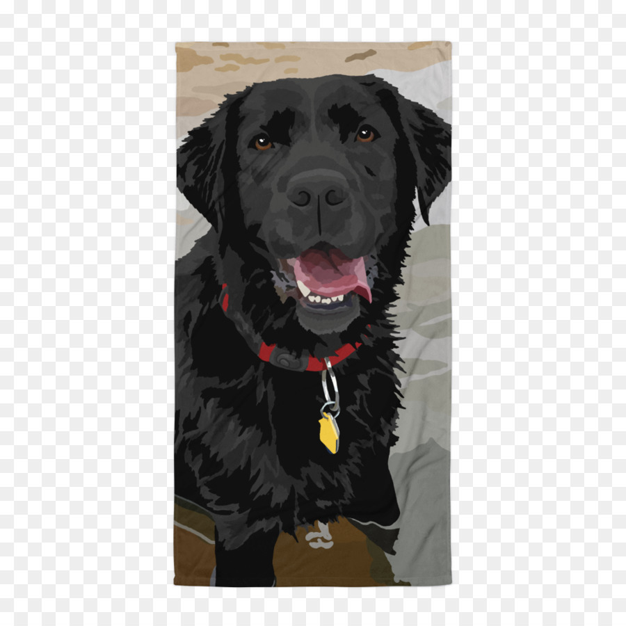 Labrador Retriever，Flatcoated Retriever PNG