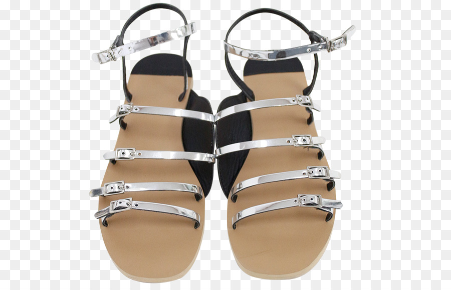 Chanclas，Zapato PNG