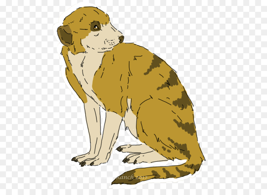 Raza De Perro，Perro PNG