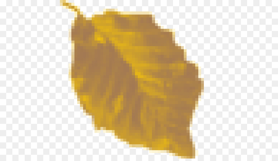 Hoja，Primer Plano PNG