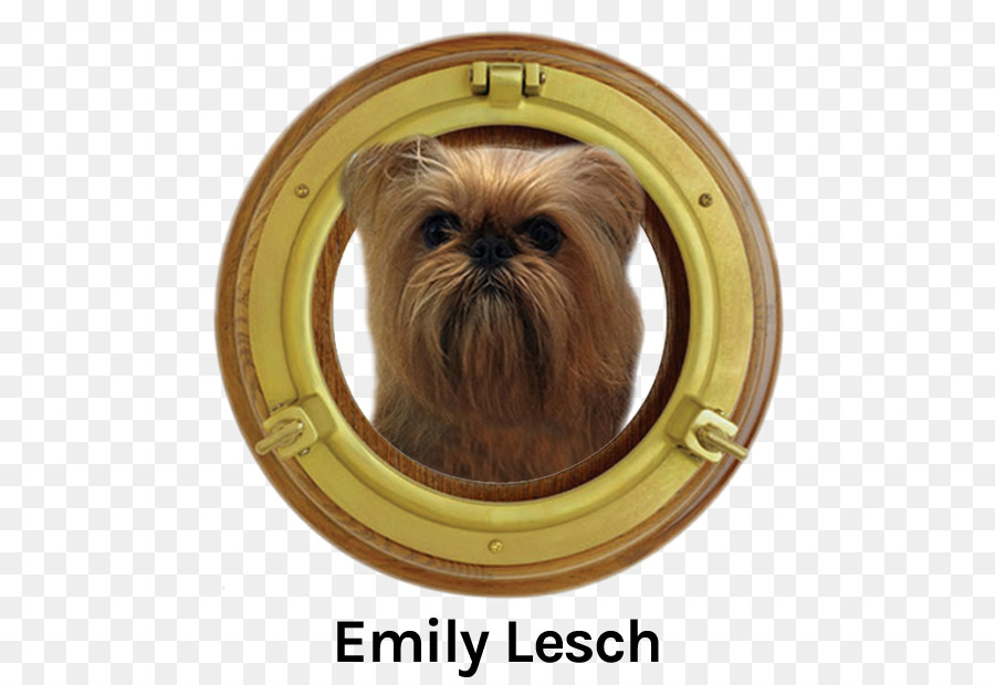 Ojo De Buey，Shih Tzu PNG