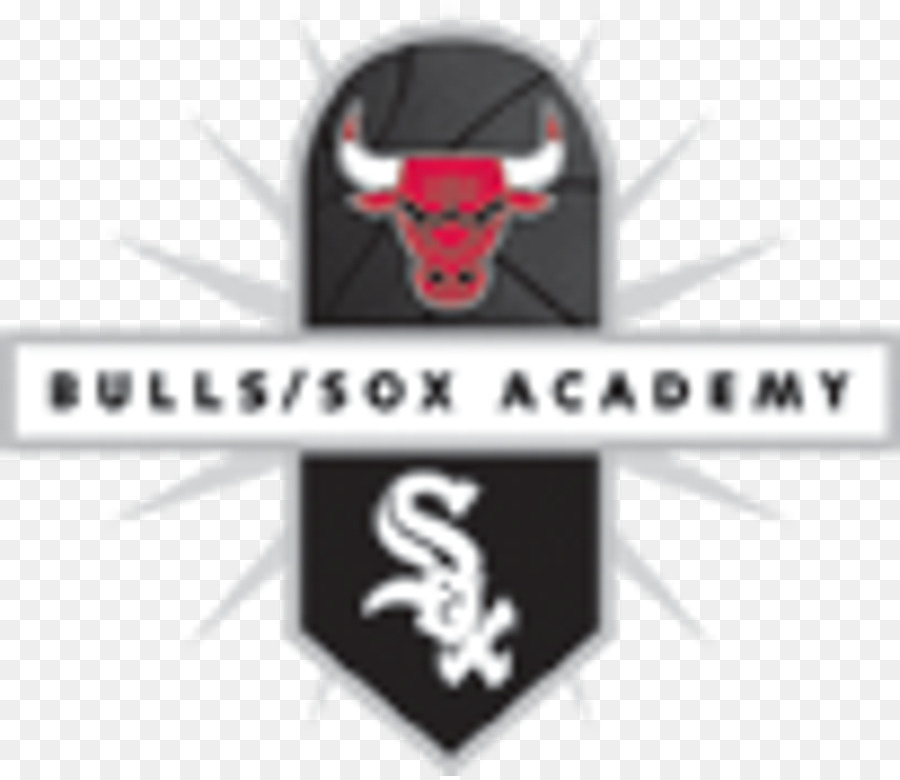 Chicago Bulls，Bullssox Academia Juvenil PNG