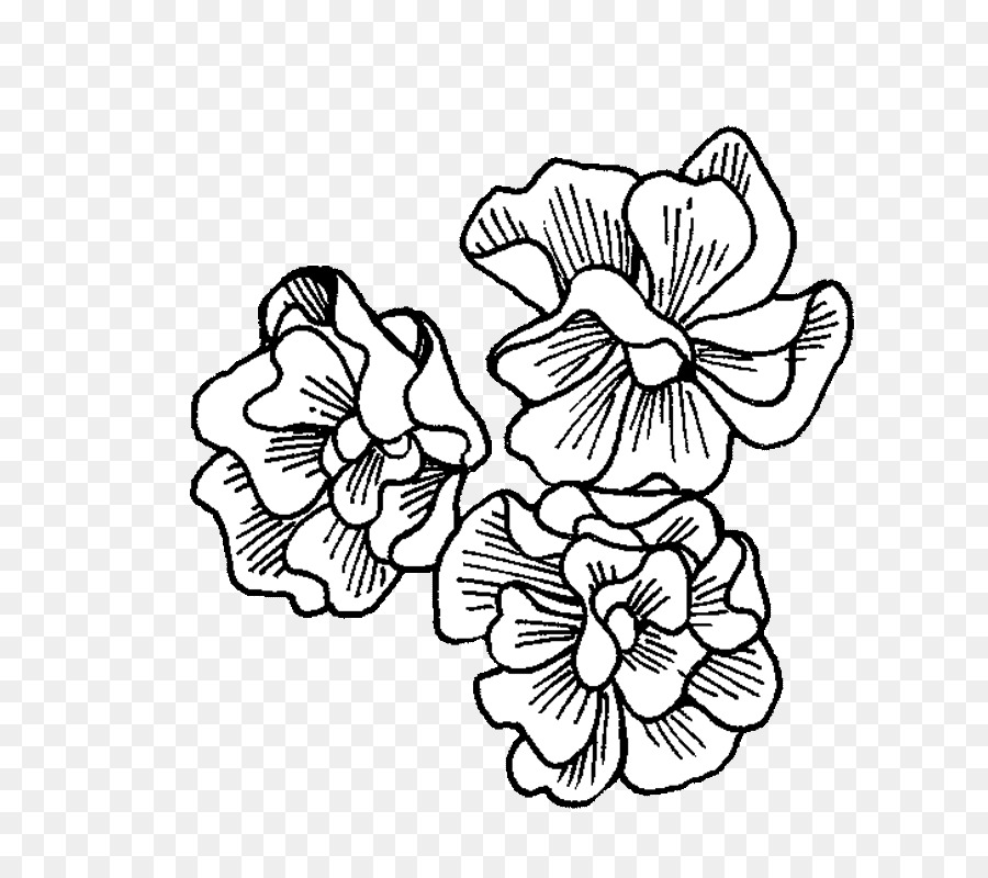 Diseño Floral，Artes Visuales PNG