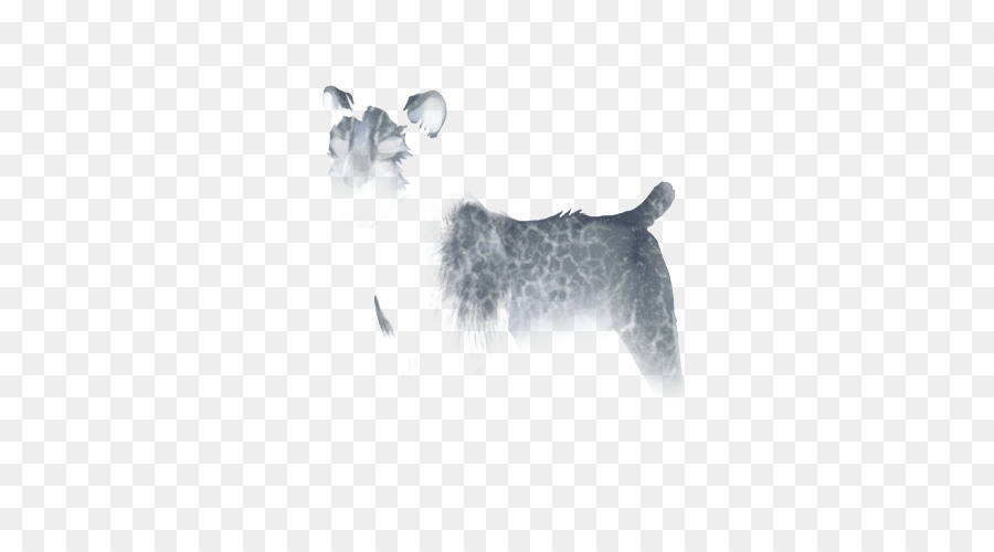 Raza De Perro，Cachorro PNG