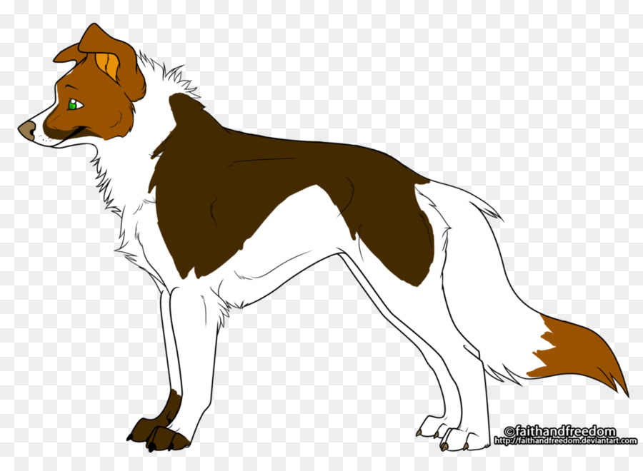 Raza De Perro，Border Collie PNG