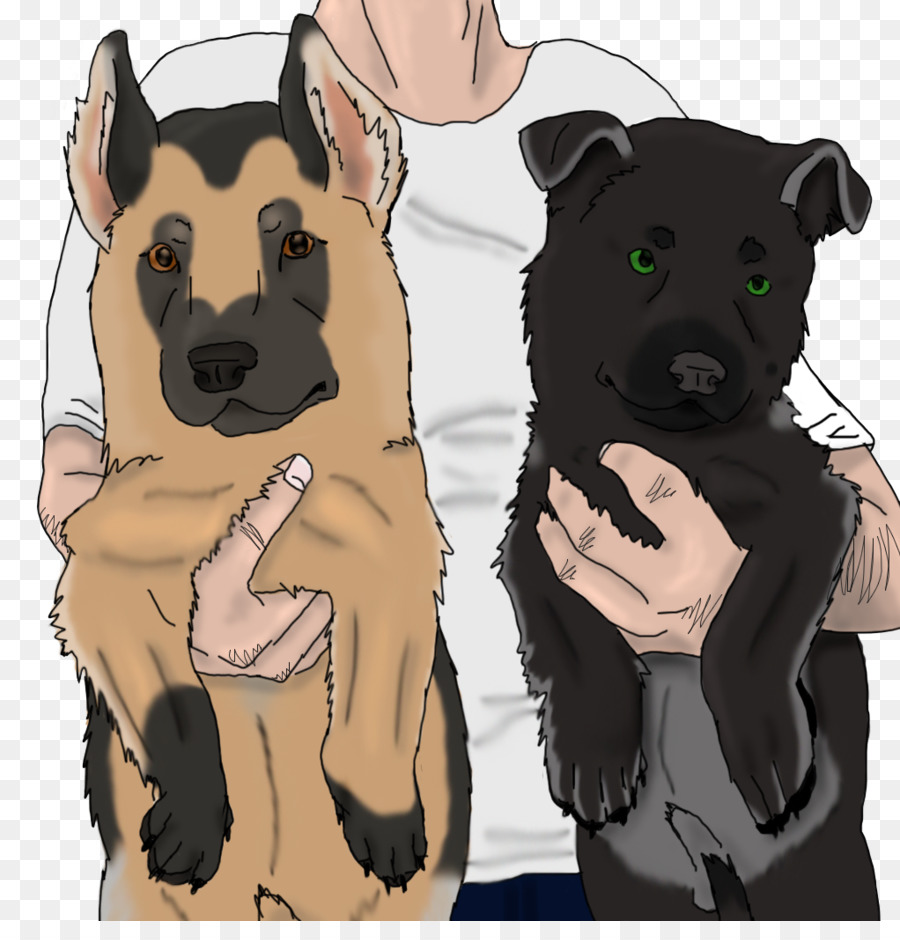 Raza De Perro，Perro PNG