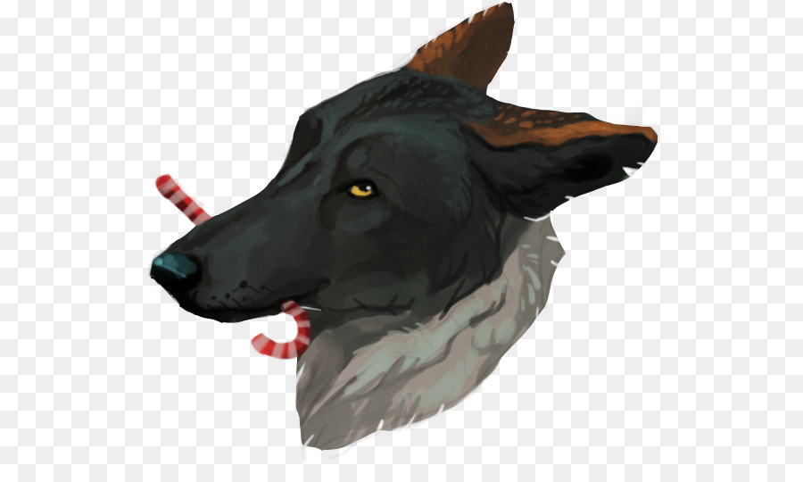 Raza De Perro，Perro PNG