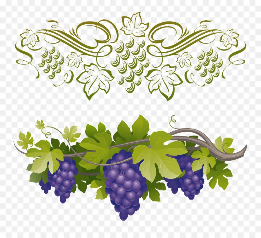 Uvas，Enredadera PNG