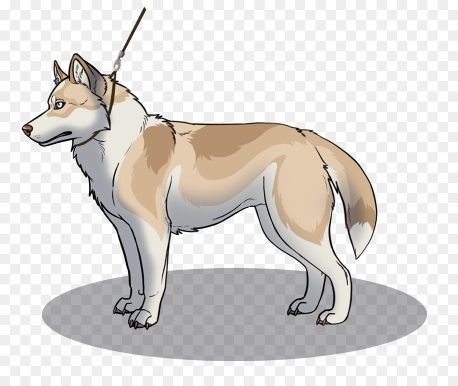 Saarloos Lobo，Perro Lobo Checoslovaco PNG