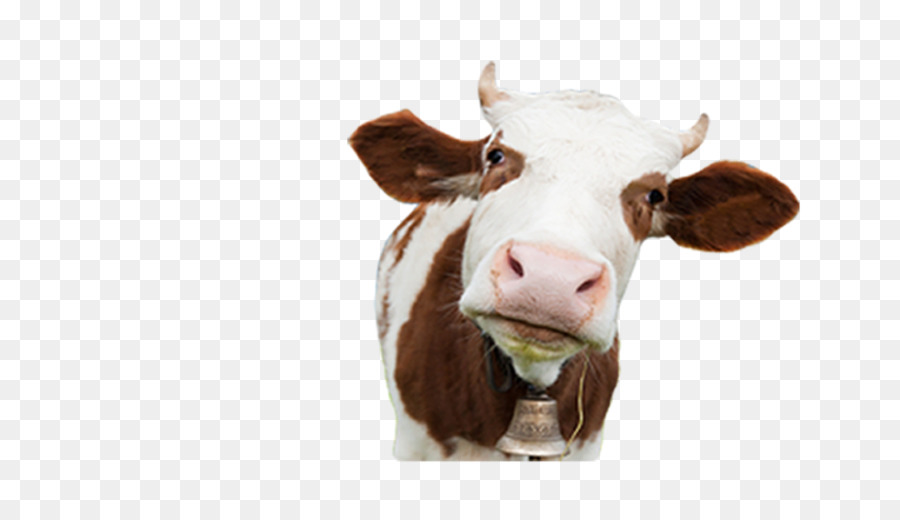 El Ganado，La Leche PNG