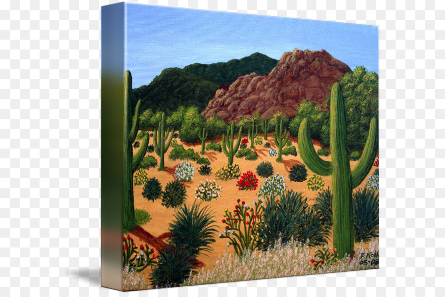 Cactaceae，Pintura PNG