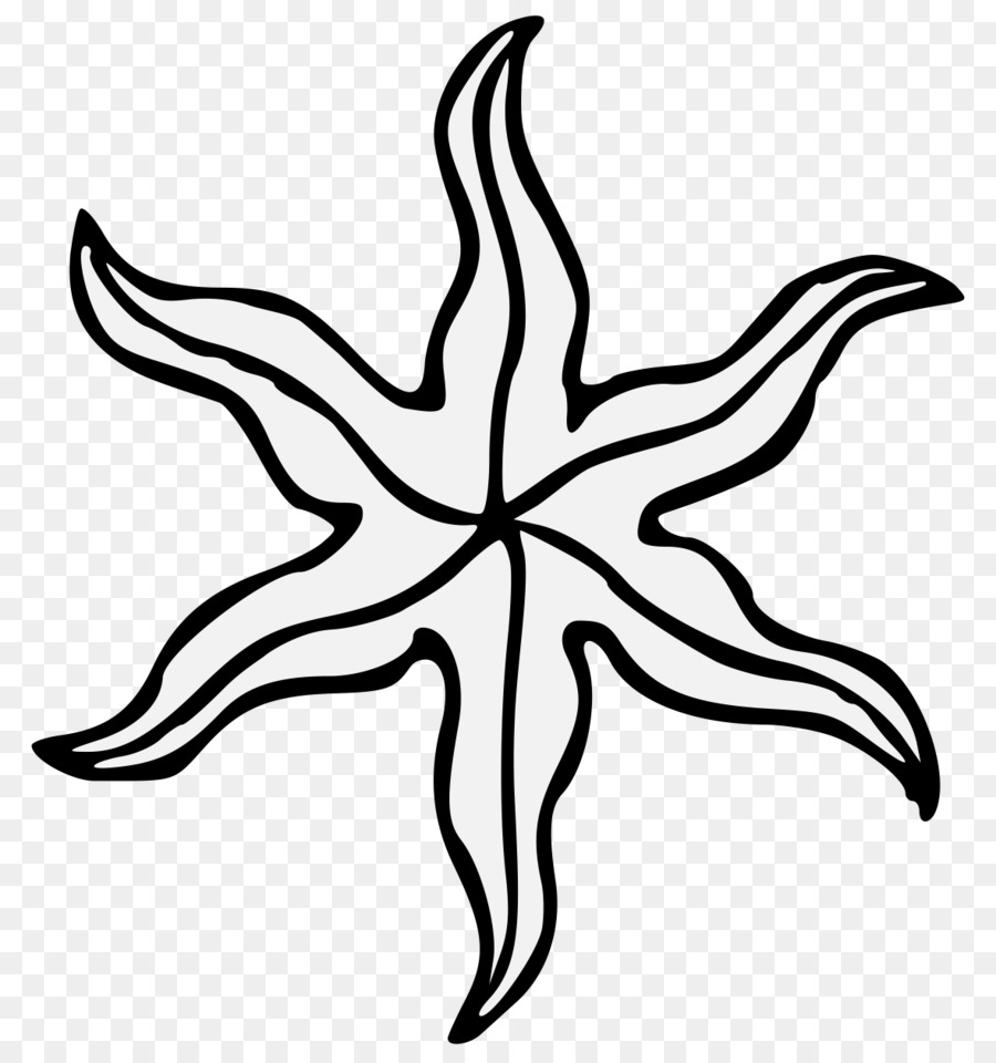 Dibujo De Estrella De Mar，Mar PNG