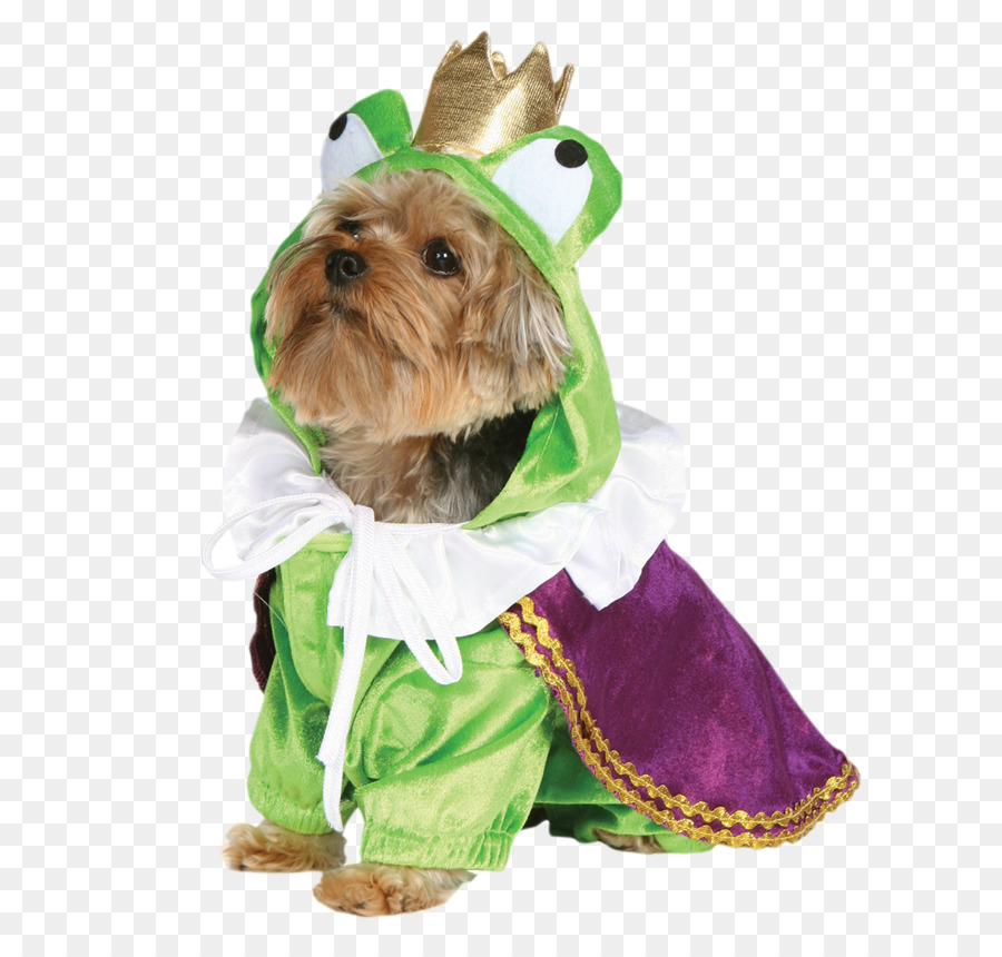 Perro Disfrazado，Mascota PNG