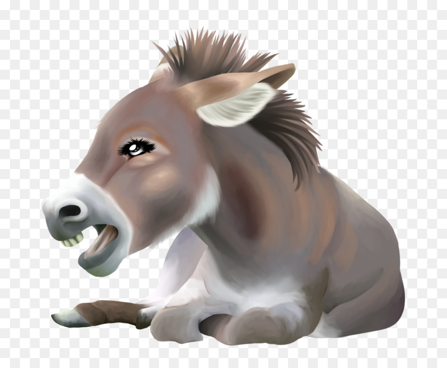 Burro，Dibujo PNG