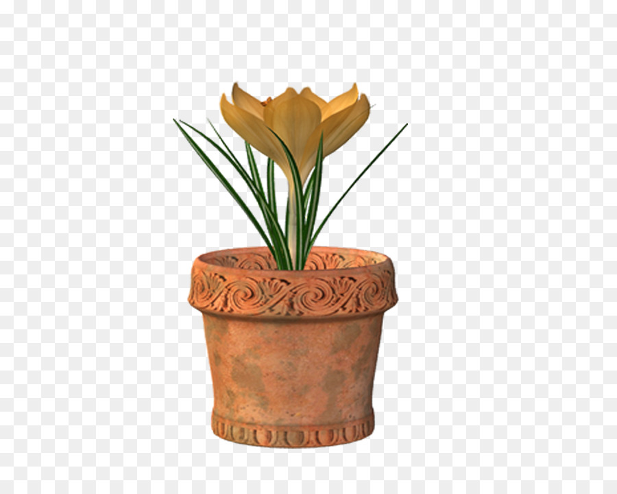 Flor，Paisaje PNG