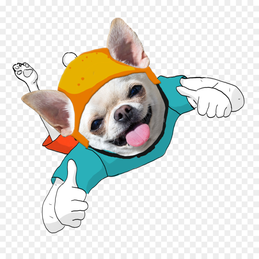 Terrier De Boston，Cachorro PNG