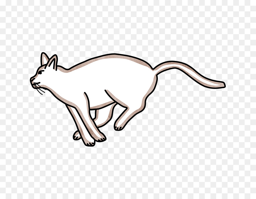 Gato，Mascota PNG