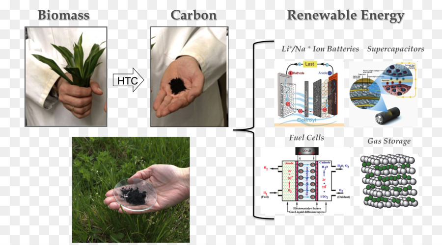 Carbonización，De Carbonización Hidrotermal PNG