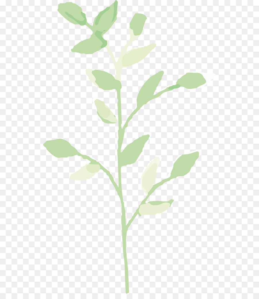 Hoja，Verde PNG