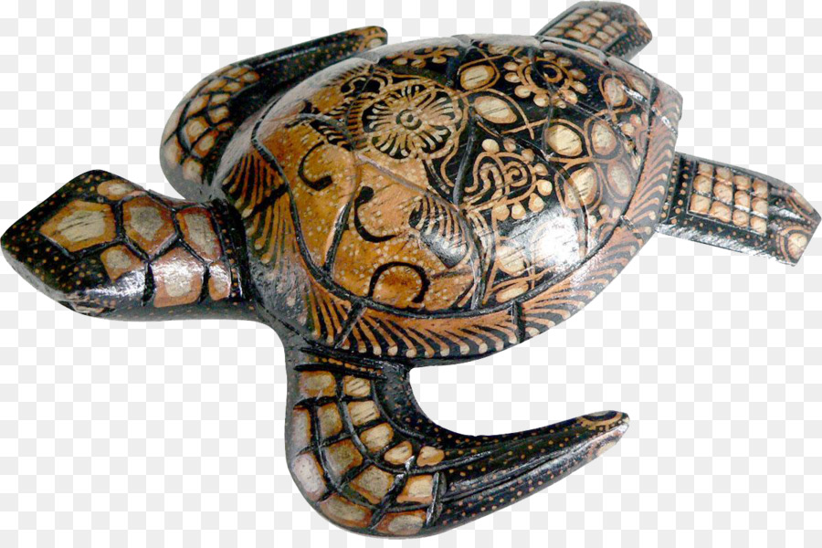 Tortuga，La Tortuga De Gráficos PNG