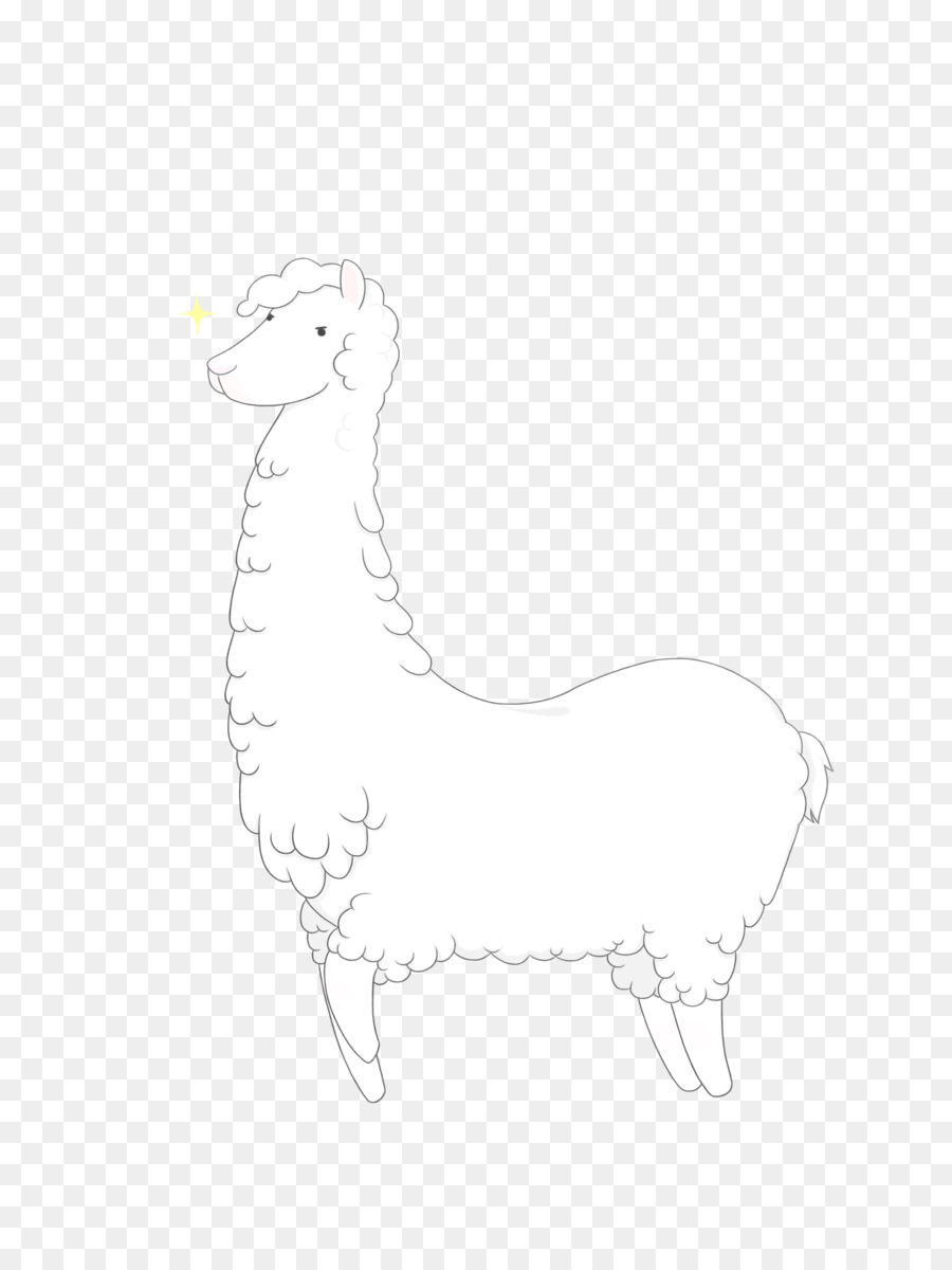 Llama，Ovejas PNG