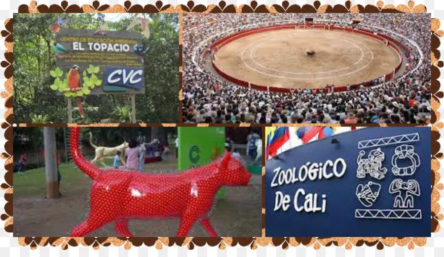 Zoológico De Cali，Animales PNG