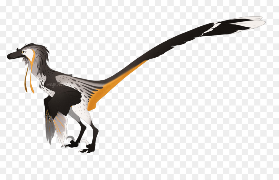 Velociraptor，Pájaro PNG