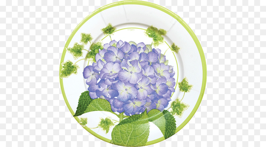 Plato Floral，Flor PNG