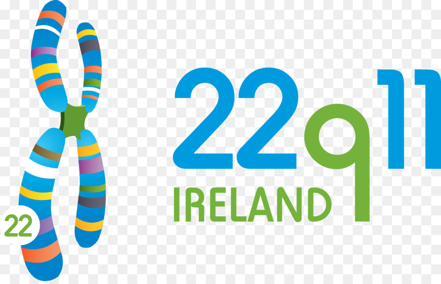 22q11 Irlanda，Logo PNG