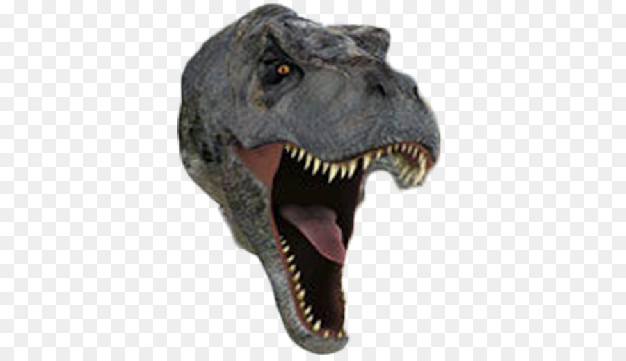 Tyrannosaurus，Velociraptor PNG