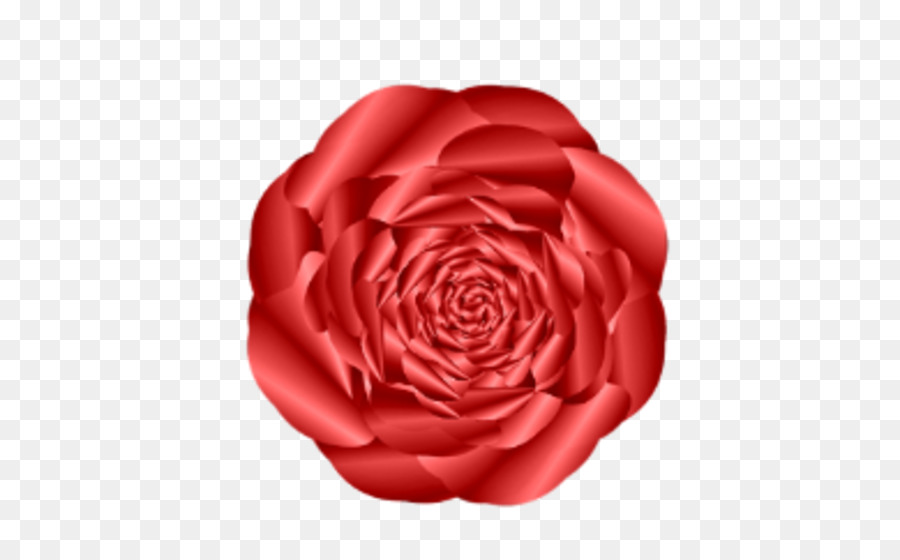 Rosa Roja，Florecer PNG