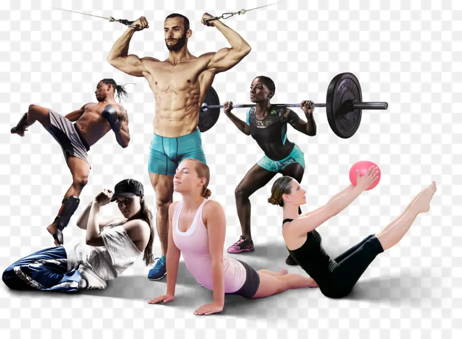 Aptitud Física，Gimnasio PNG