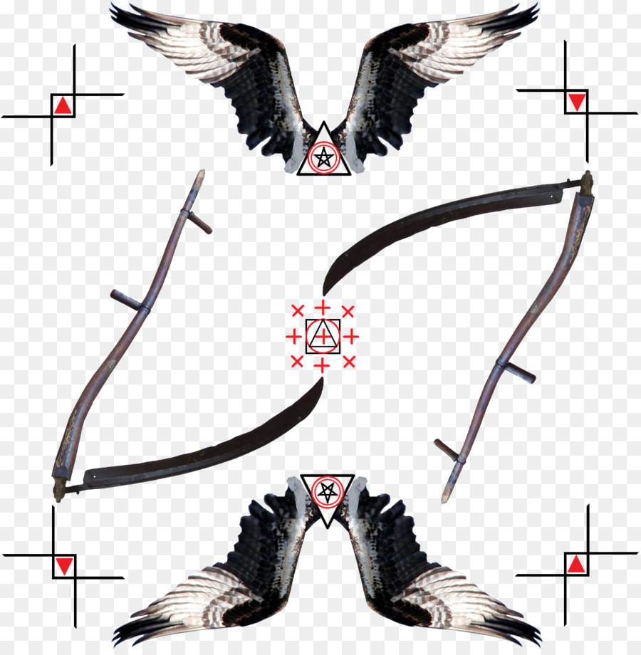 Ala，Aves PNG