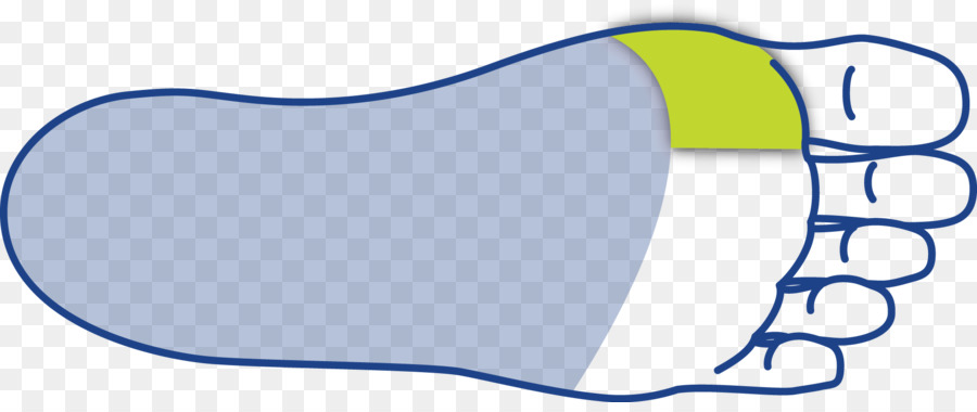 Pulgar，Ortóticos PNG